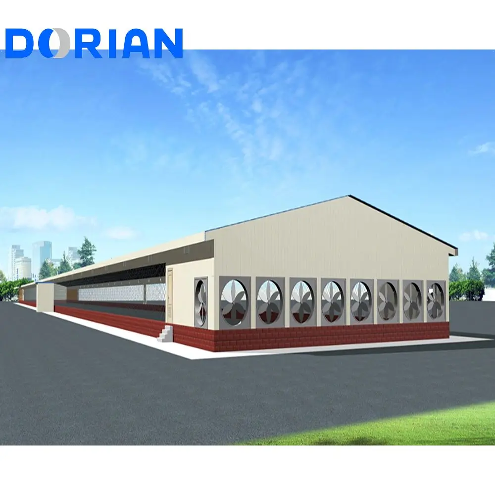 New Design Small Prefab Steel Structure Egg Chicken Poultry Farm Building for 5000 Chicken