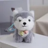 Corgi