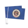 Minnesota Flags