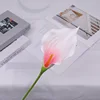 Subdesarrollo de la cabeza floral de la rama y el tallo No10