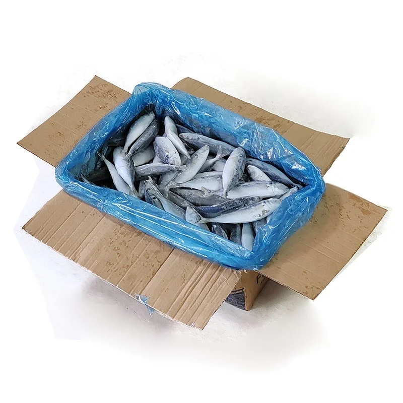 Frozen Seafood Good Quality Gutted Scaled Whole Tilapia Fish Wholesale Price Supplier Crucian Carp Exporter