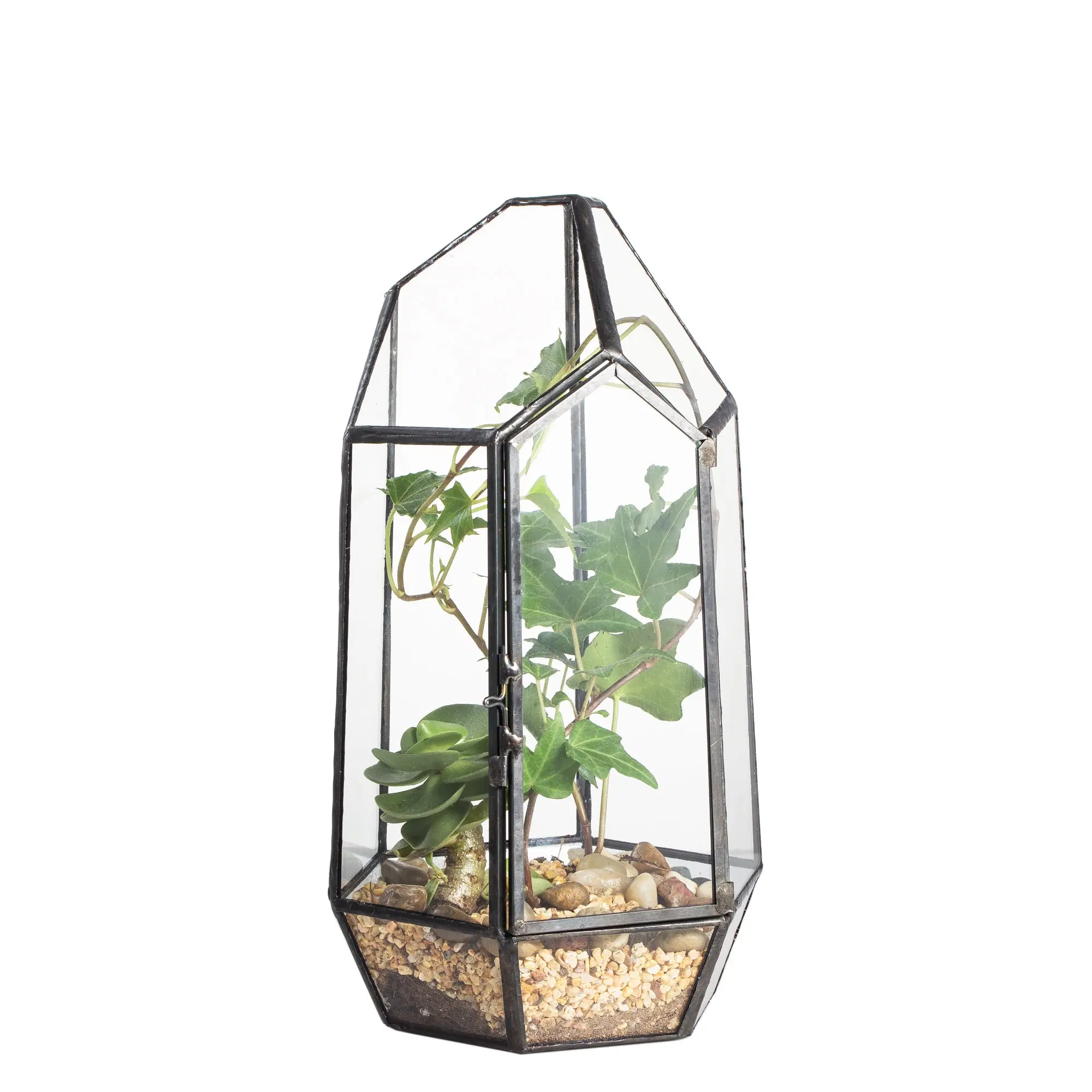 Art Deco-Inspired Table Top Plant Terrarium Wooden Frame Light Bulb Glass Vase Metal Rotating Stand Retro Hydroponics Design
