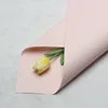 Lt rosa