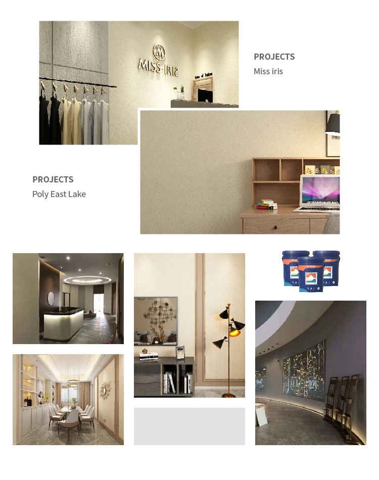 High Quality Gamazine Wall Coating Paint Home Art Graffito Paint For