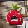 Dragon fruit