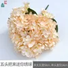 Mini Hortensia WZT Champagne Ramo de cinco cabezas