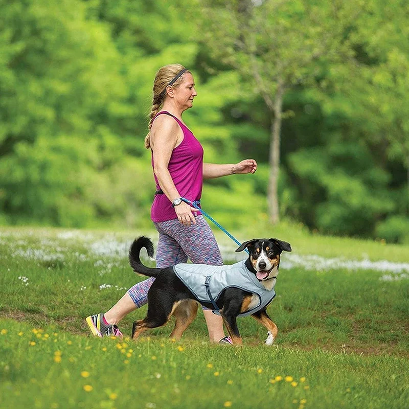 Роскошная Регулируемая испарительная дышащая сетчатая Светоотражающая охлаждающая куртка для собак, Спортивная охлаждающая жилетка для собак