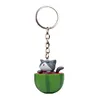 Watermelon gray cat