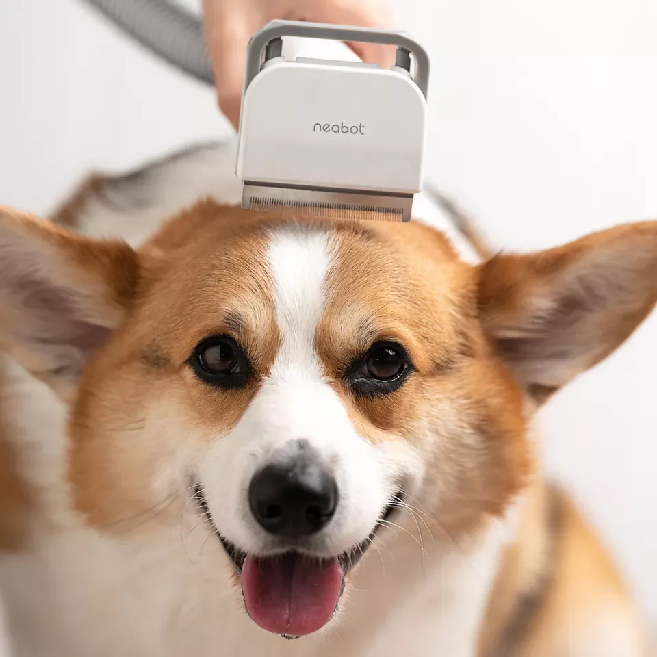 Neabot Cat Dog Pets Grooming Tools Set Electric Dog Vacuum Cleaner Kit with Strong Suction