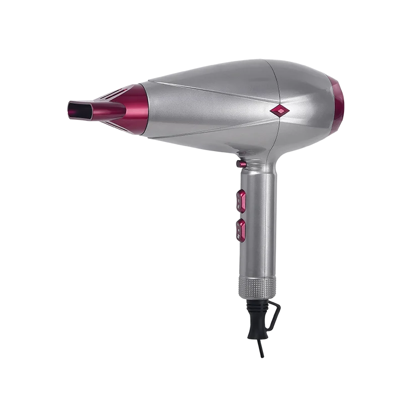 Precio De Secador De Pelo Profesional Discount, 59% OFF |  www.ingeniovirtual.com
