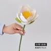 Small White Lotus