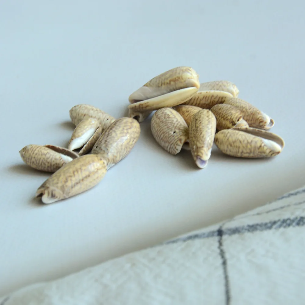 Natural Seashell Cowrie Shell Crafts With Hole For Jewelry Making - Buy ...