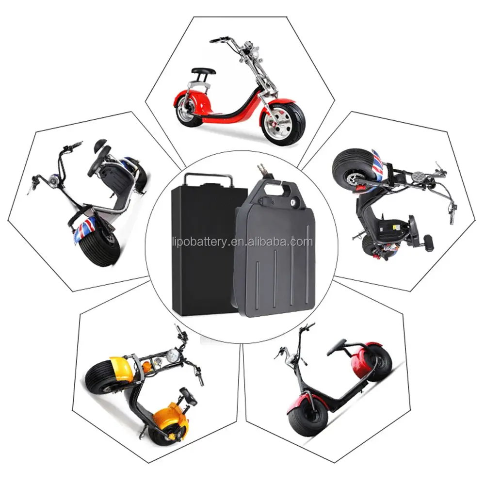 60v 20ah Lithium Battery for Citycoco Electric Scooters