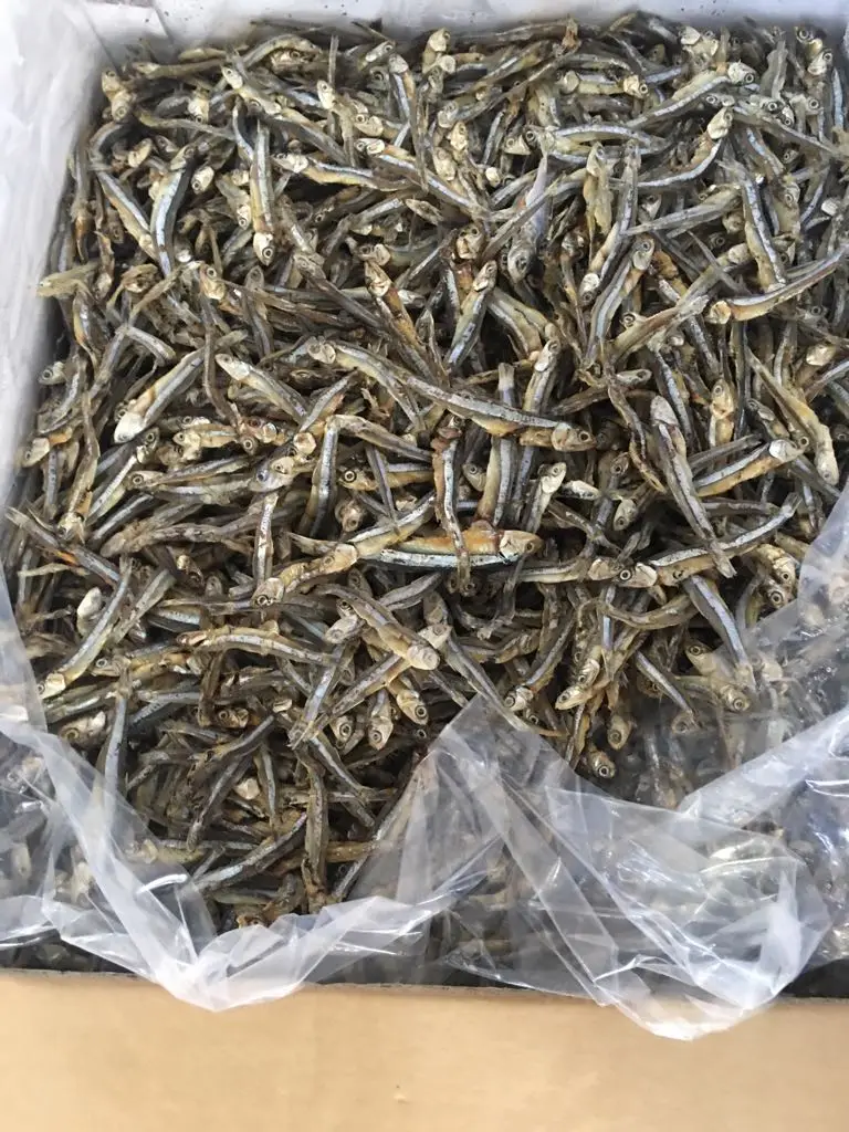 Dry Anchovy Fish/ Dried Sprats Vietnam Ad Dried Fish With 2 Year Shelf