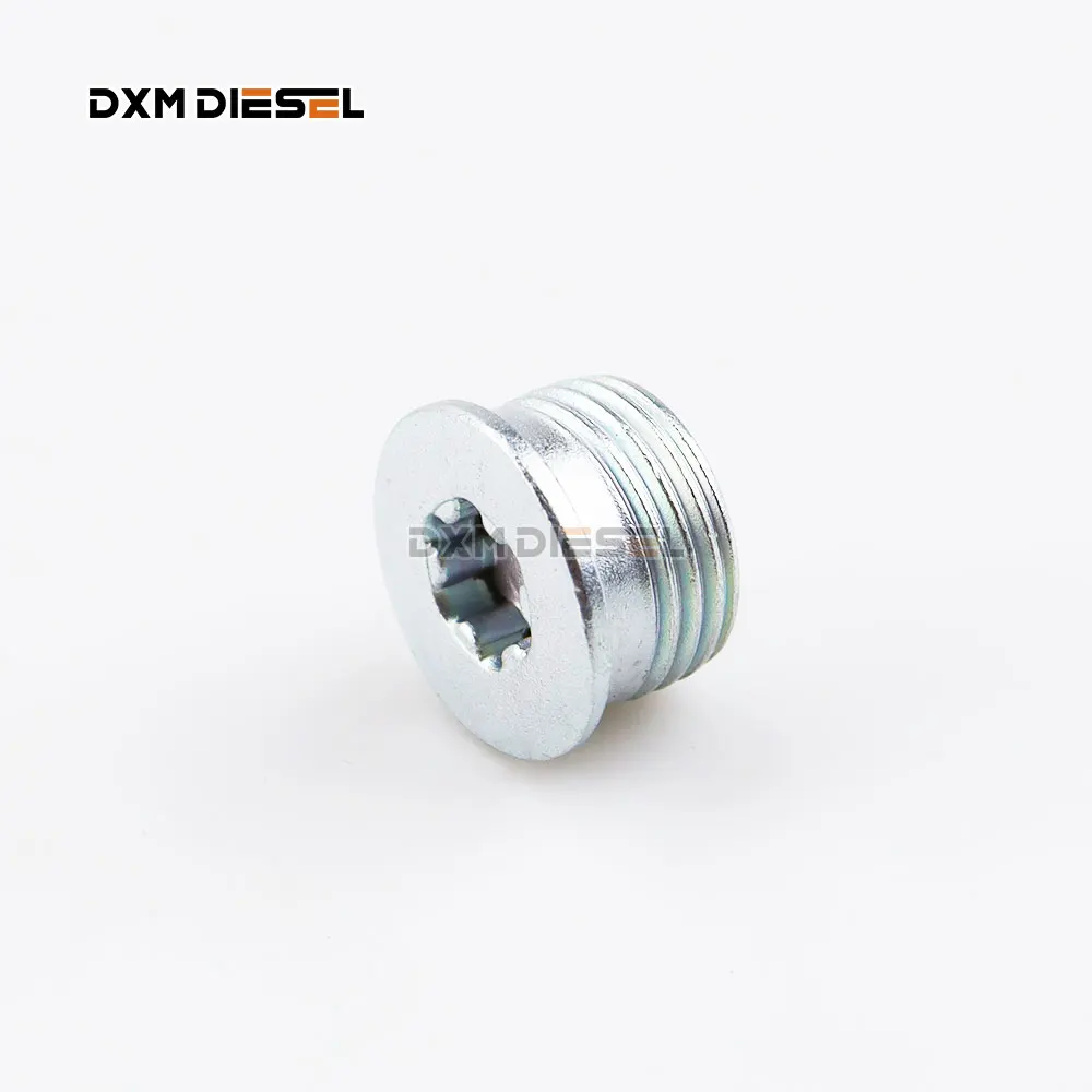 DXM high quality Rebuild Overhaul kits F00N01244 details