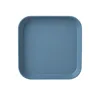 Square plate blue