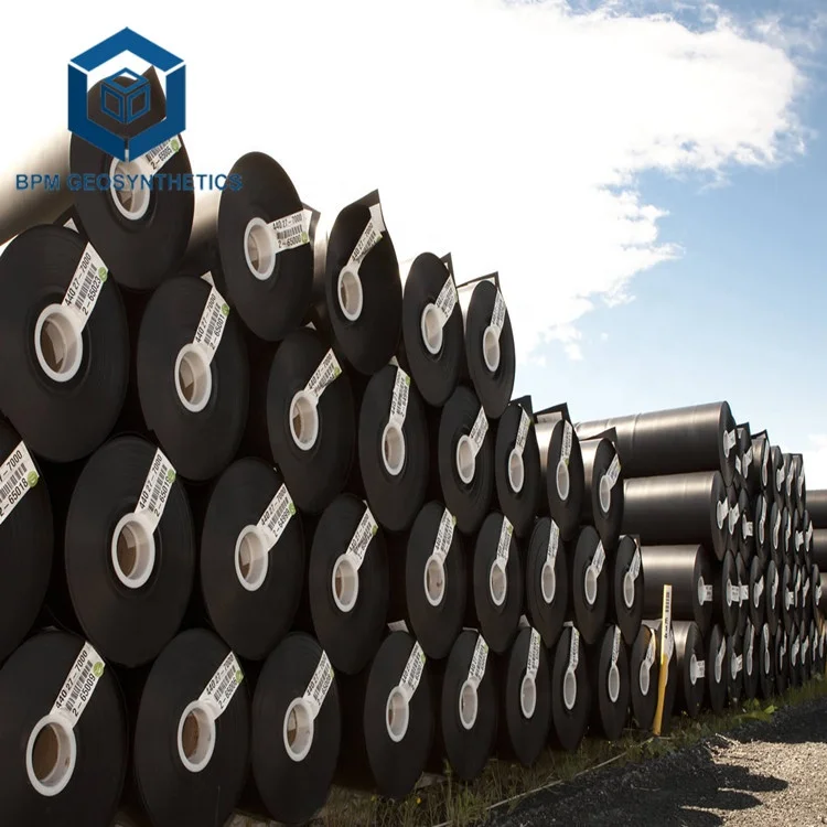 Industrial Design Style HDPE Waterproof Geomembrane Plastics Membrane from Guangdong for Sale