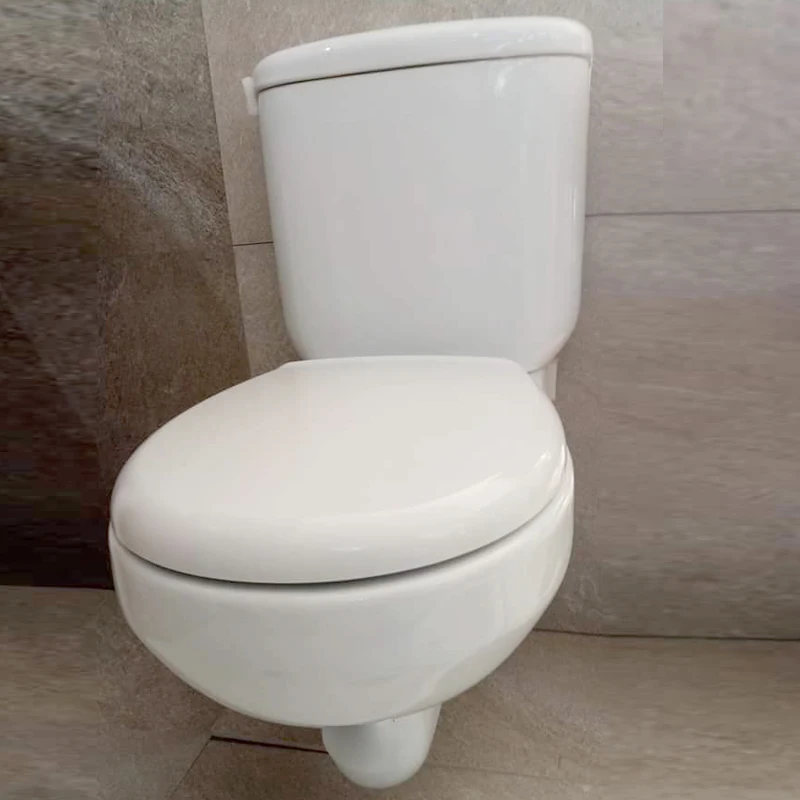 Dual Flush W/c Coupled Toilet Hidden Tank Two Piece Toilet Wall Hung ...