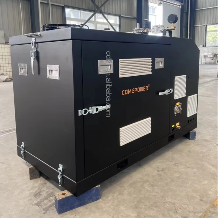 Silent Type  Sustainable Power Plant 20kw  3 Phase  Micro CHP  Biogas LPG  Natural Gas Generator for Sale