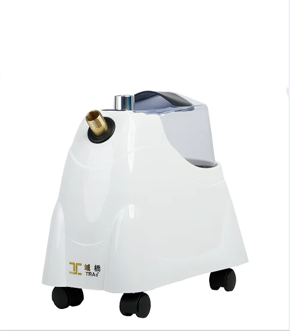 professional upright garment steamer
