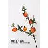 Small-branched five-fruited pomegranate, orange-yellow