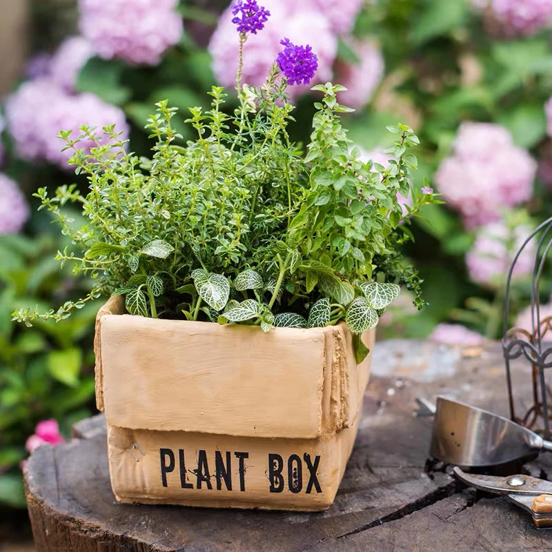 Nordic minimalist concrete pots garden decorative box shape succulent pot custom cement pots for planter