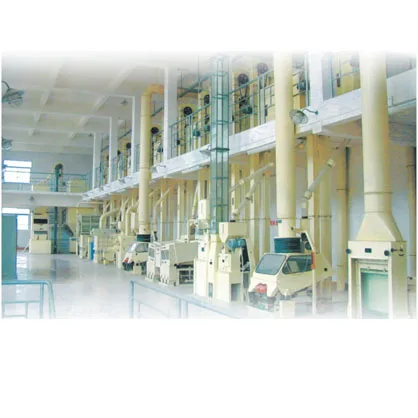 High Efficiency Fully Automatic Complete Set Jet Rice Mill Made in China