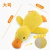 Canard compagnon grand