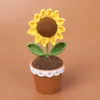 Girasol