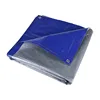 Blue/Silver