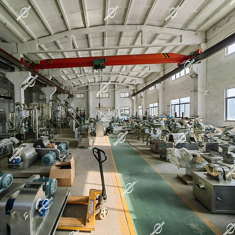 Line Cocoa Powder Equipment Machine Small Scale Mini Cocoa Bean Processing Plant