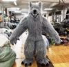 Lobo