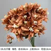 3 chrysanthèmes à grandes griffes