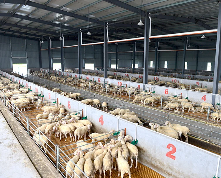 プレハブ鉄骨構造家畜小屋低コスト羊小屋牛小屋牛小屋ヤギ小屋