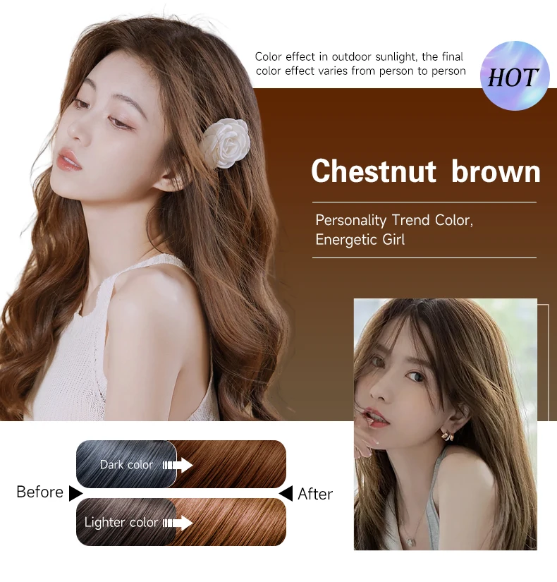 Low Price Hot Herbal Ingredients Permanent Hair Color Comb 400ml Does Not Hurt the Scalp for Multi-colored Hair