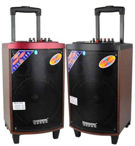 TEMEISHENG 10 Inch Portable USB BT Rechargeable Portable Speaker
