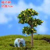 Albero di Pompelmo