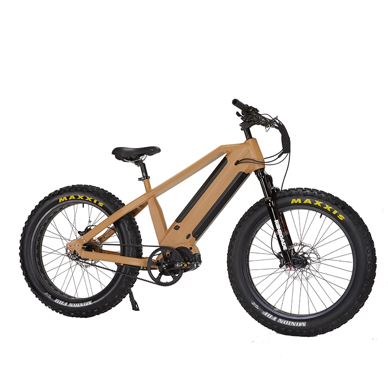 Bafang Mozzo a Cambio Automatico a Velocità per Bici Elettrica Fat Bike  con Trasmissione a Cinghia Gates, Motore Bafang 1000W G510 M620 per E-bike