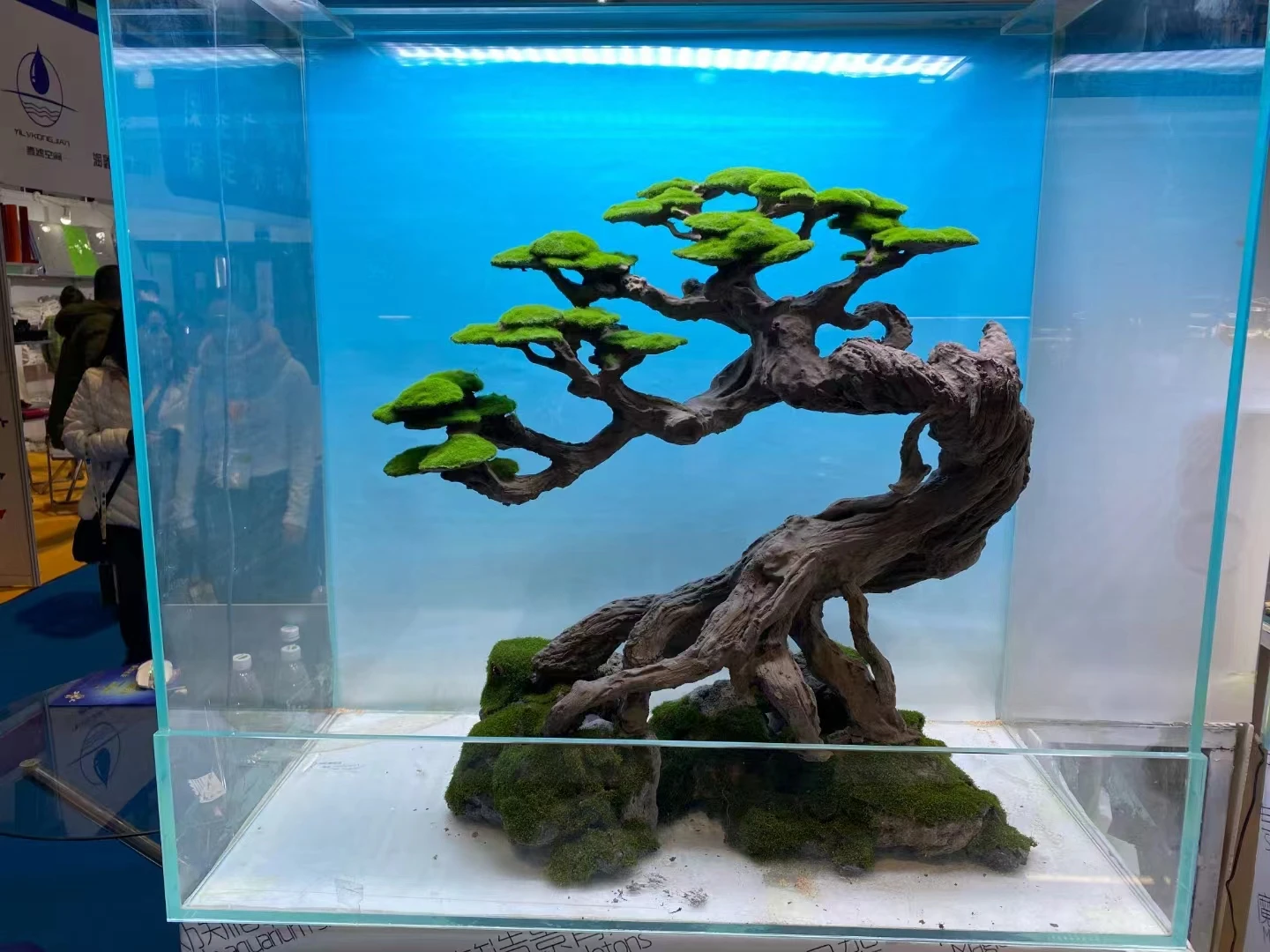 Vietnam Decorative Driftwood Bonsai Aquarium Driftwood Quality Products  Aquarium Live Plants with Large Quantity