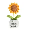 White sunflower plant
