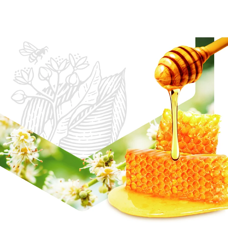 factory supplier popular honey flavor syrup 3kg bulk honey jars
