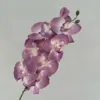 Púrpura