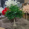 Green 01