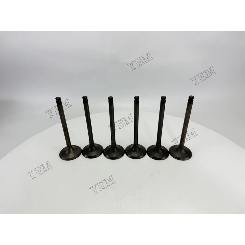 Intake Valve for Nissan NE6 Industrial Engine Parts