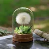 Green - 2