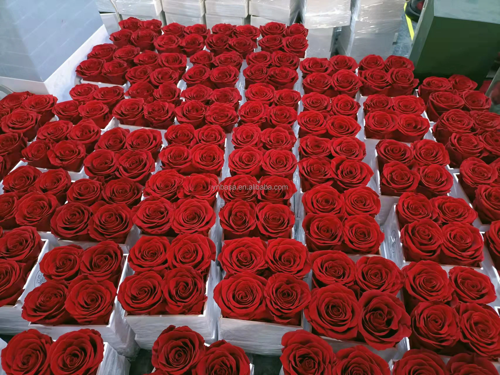BASA Special Design Preserved Rose Flower Bouquet Preserved Hydrangea ...