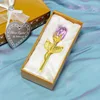 Gold-purple