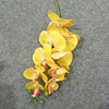 Amarillo