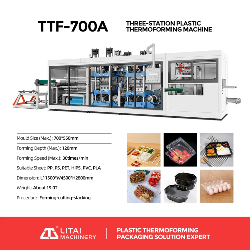 Thermoforming Machine for Pet Fruit Container Chocolate Box Cheese Box