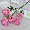 Pink7